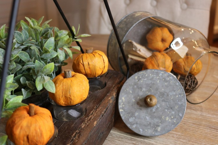 10769896032_IMG_1685